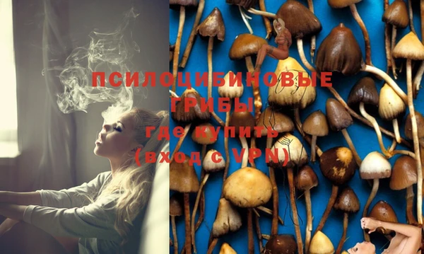 кокс Кукмор