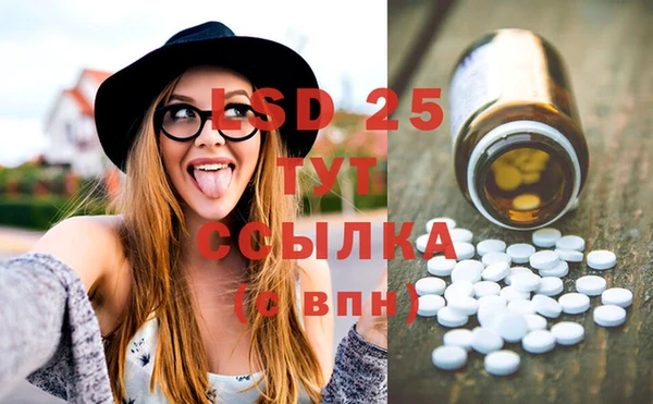 прущие крисы Кулебаки