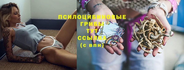 ПСИЛОЦИБИНОВЫЕ ГРИБЫ Краснослободск